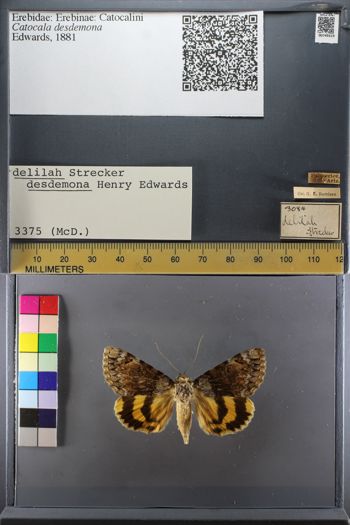 Media type: image;   Entomology 749319